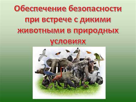 Безопасность в пути: борьба с животными и обеспечение тепла и питания