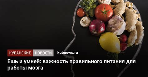 Важность правильного питания вампира