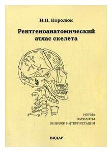 Варианты интерпретации фразы "Не во имя, а вопреки"