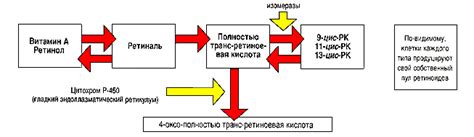 Взаимодействие с другими веществами