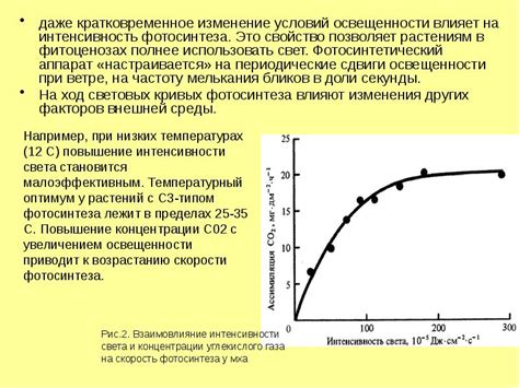 Влияние интенсивности света