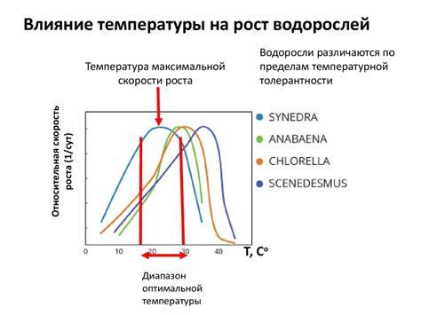 Влияние температуры на испарение металлов