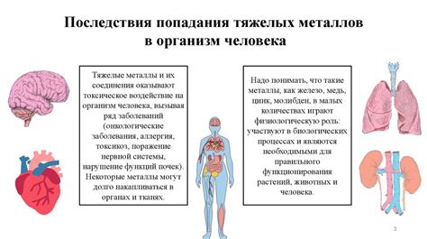 Влияние тяжелых металлов на здоровье