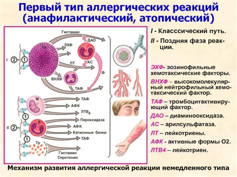 Воздействие на кожу и аллергические реакции