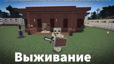 Вор в майнкрафте: уникальное расширение игрового процесса