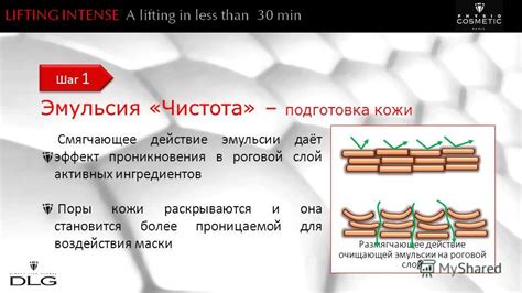 Второй шаг: Сравнение активных ингредиентов