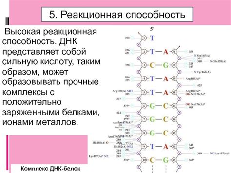 Высокая реакционная способность