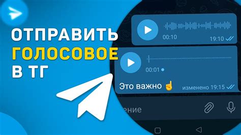 Голосовое сообщение в Телеграм: всё, что вы должны знать о точке