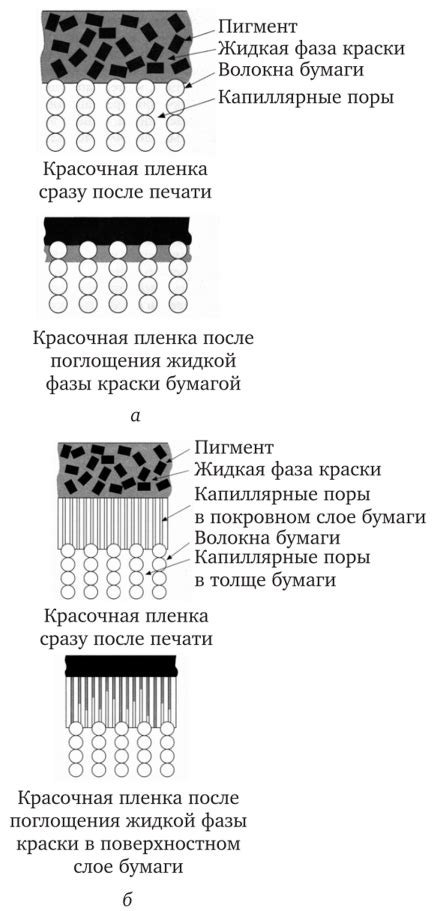 Закрепление на бумаге