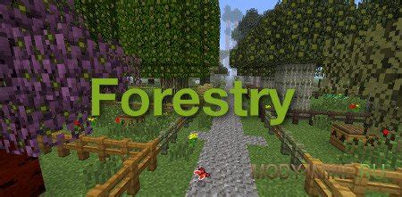 Зимние цветы Minecraft Forestry: возможности и использование