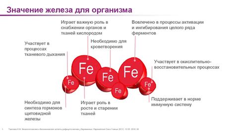 Значение железа для человечества