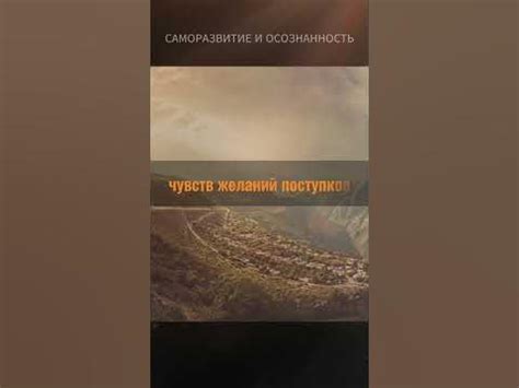 Измерение страдания: путешествие через пустыни душ