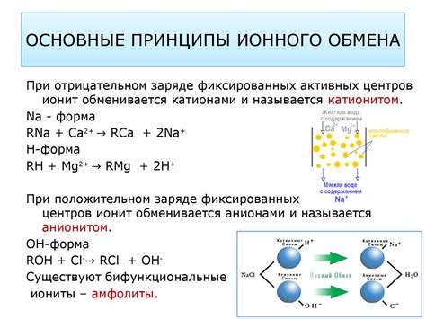 Ионный обмен и его роль в процессе взаимодействия щелочи с металлом