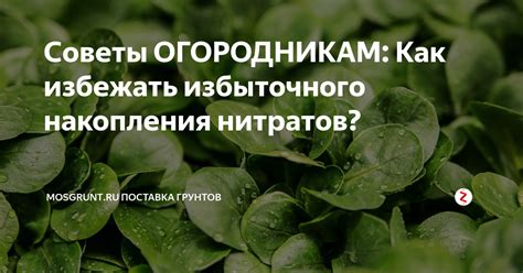 Как избежать избыточного использования риса