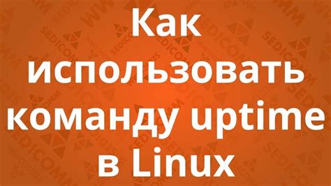 Как использовать команду