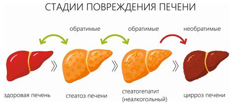 Как цирроз печени влияет на давление