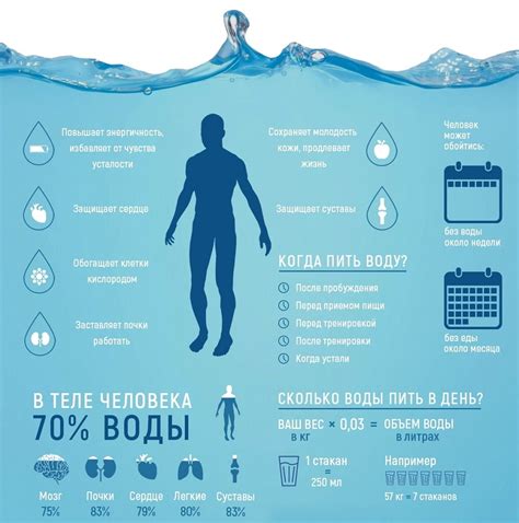 Качество воды и безопасность питьевого режима для индюшат