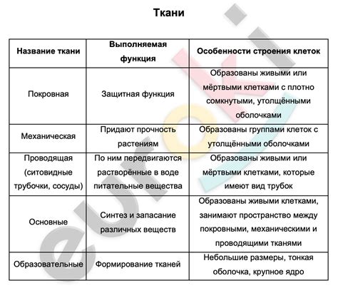 Класс: особенности и возможности