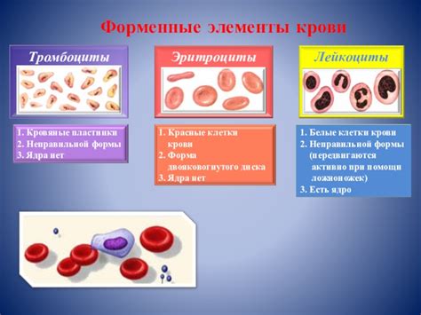 Кровь и ее химический состав