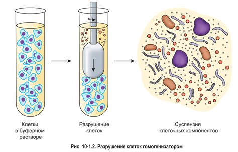 Метод с использованием воды и мягкой ткани