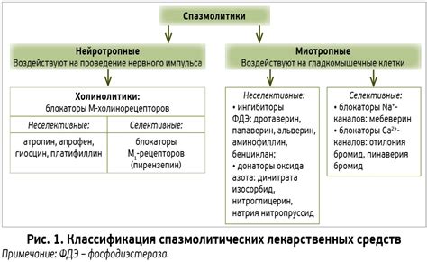 Механизмы действия