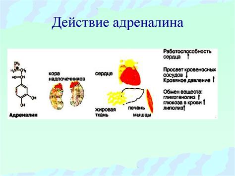 Механизм действия зажигалки на металл