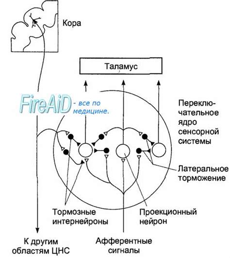 Механизм образования отрицательной зарядки