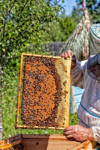 Модификации и дополнения, связанные с пчеловодством