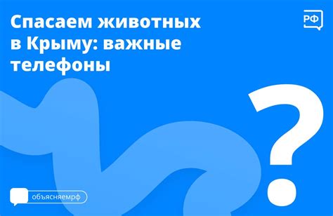 Обратитесь к специалистам