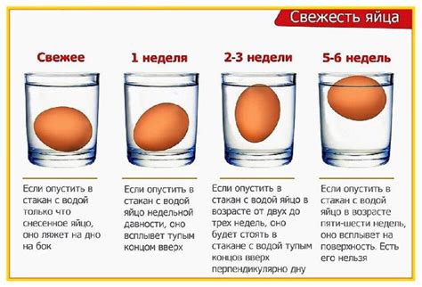 Определить источник яйца