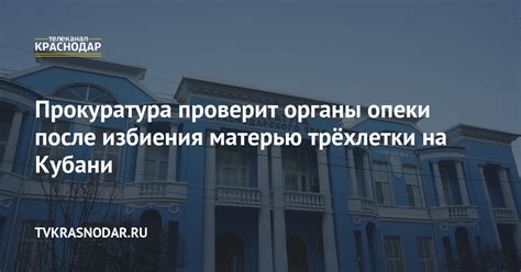 Органы опеки: общая информация