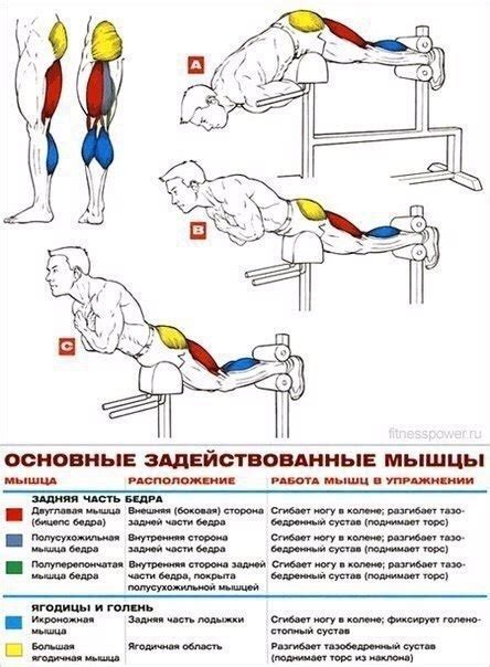 Основные навыки для прокачки