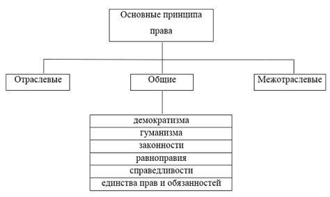 Основные принципы работы гильотины