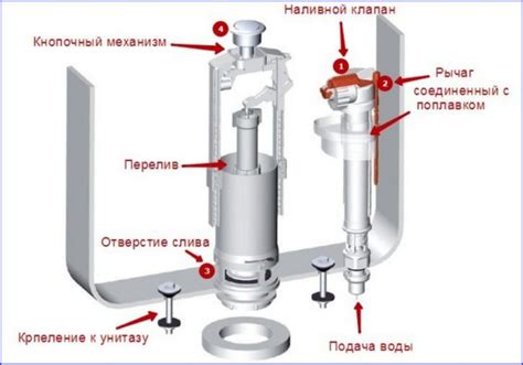 Основные шаги сборки арматуры унитаза Виктория