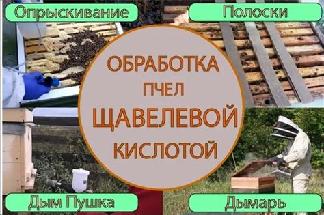 Особенности безопасного обращения с щавелевой кислотой