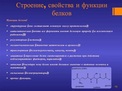 Особенности состава и структуры