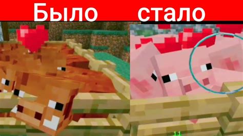 Особенности спавна кабанов в аду Minecraft