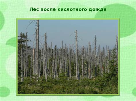 Особые возможности и опасности кислотного дождя