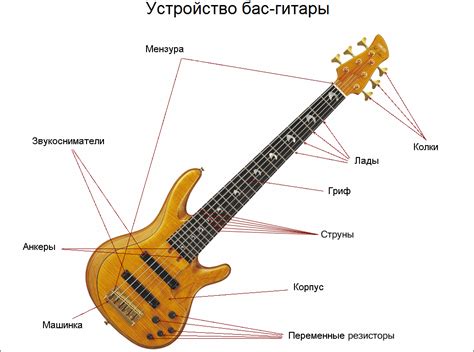 Отличительные черты бас-гитар, подходящих для металла