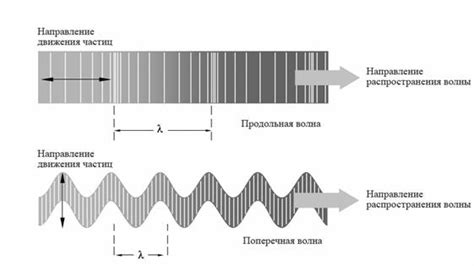 Отражение и поглощение ультразвука