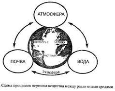 Перенос металлов между природными средами