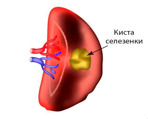 Потенциальные опасности и проблемы