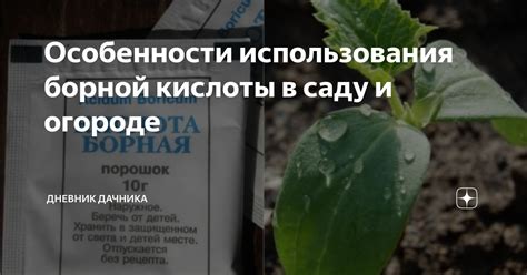 Преимущества использования борной кислоты