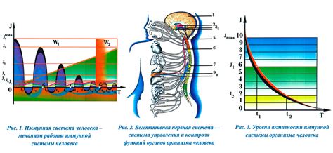 Причины возникновения неполной редукции тимуса