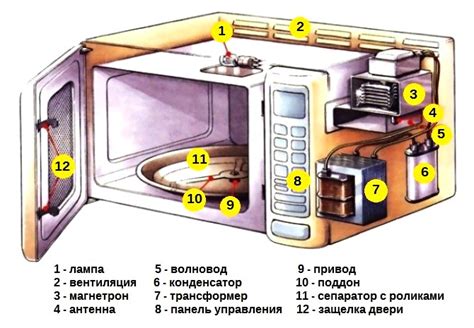 Причины необходимости утилизации микроволновок