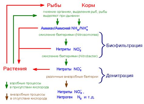 Процесс разложения нитратов