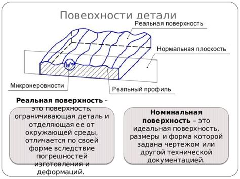 Размеры и форма поверхности