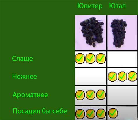 Результаты дегустации и рецензии