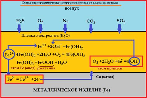 Роль в коррозии металлов