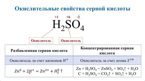 Свойства и принцип действия серной кислоты